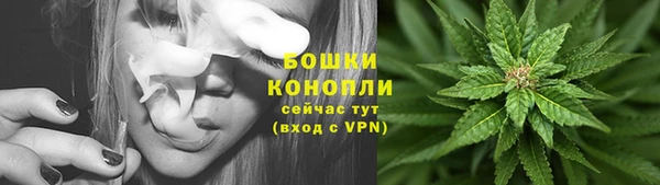мдпв Володарск