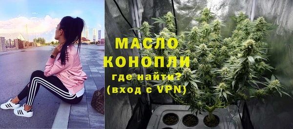 мдпв Володарск