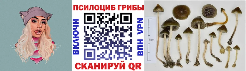 Галлюциногенные грибы GOLDEN TEACHER  закладки  Кемерово 